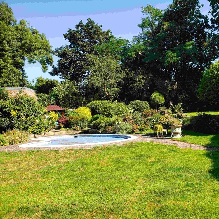 Garden with pool