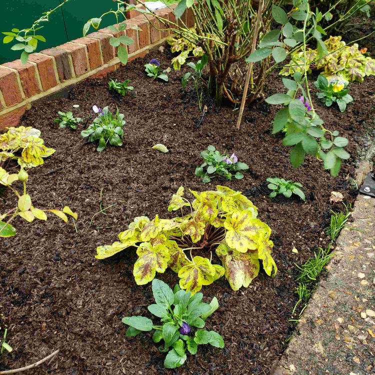 Garden soil bed