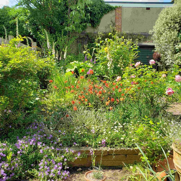 Vibrant garden with flowers