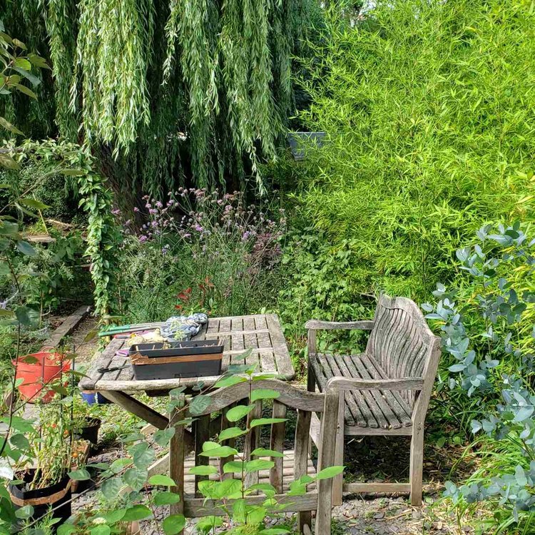 Rustic garden setting